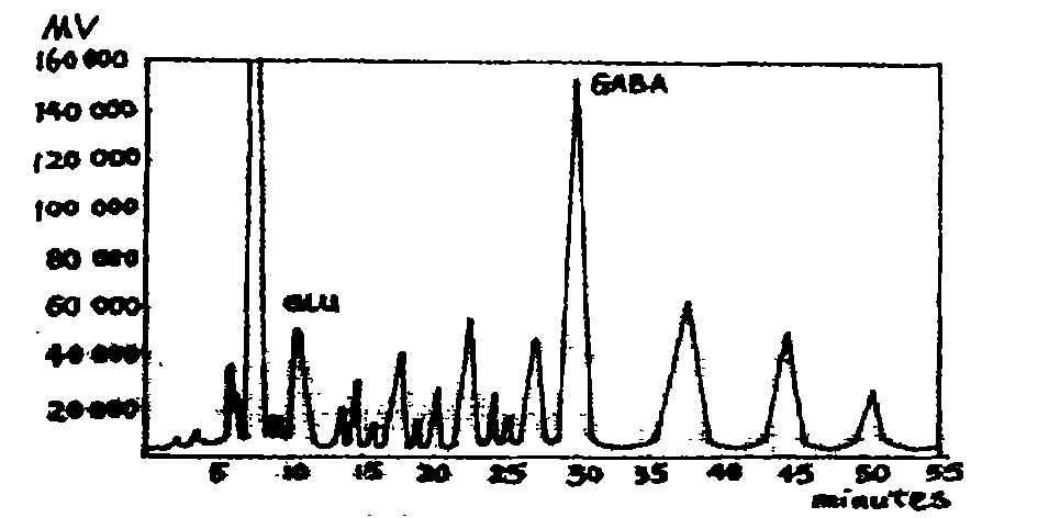 合成前体,本试验将gaba和glu联系在一起,对其邻苯二甲醛(opa)柱后衍生